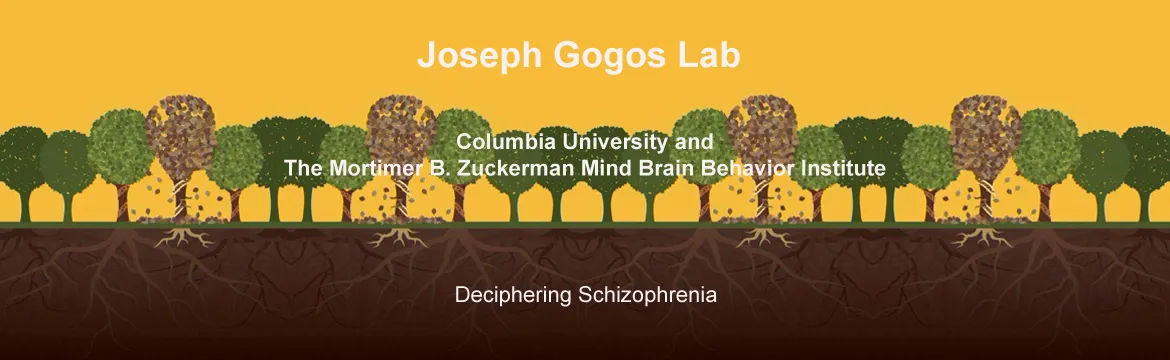 We found that a mutation that removes part of the DNA on human chromosome 22  and predisposes to schizophrenia one out of three people that carry this mutation,  affects proteins involved in axonal growth leading to stumped growth of axon terminals.  One of out one hundred people suffers from schizophrenia and up to one percent of  them carries the mutation on chromosome 22. In this imaginary forest of healthy and  affected individuals, the image depicts the root-like ends of neurons called axon  terminals 