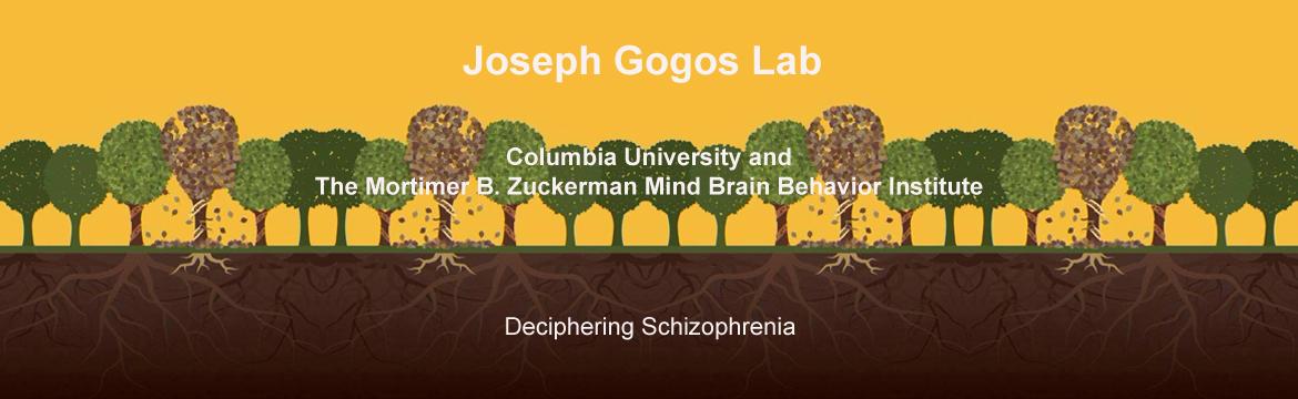 We found that a mutation that removes part of the DNA on human chromosome 22  and predisposes to schizophrenia one out of three people that carry this mutation,  affects proteins involved in axonal growth leading to stumped growth of axon terminals.  One of out one hundred people suffers from schizophrenia and up to one percent of  them carries the mutation on chromosome 22. In this imaginary forest of healthy and  affected individuals, the image depicts the root-like ends of neurons called axon  terminals 