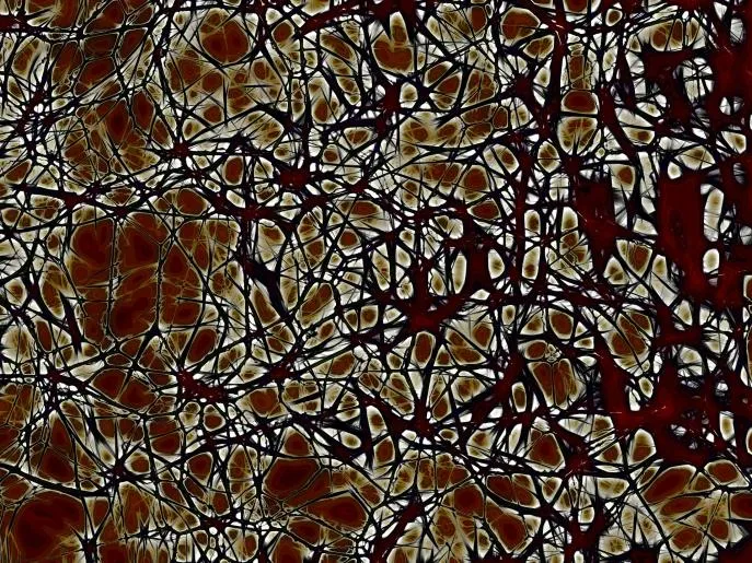 Disrupted neural connections can cause memory deficits in Schizophrenia patients. Pixabay Public Domain
